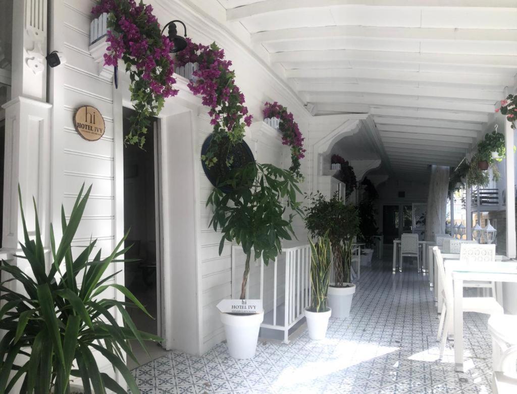 Hi Hotel Ivy Bueyuekada Adalar Kültér fotó
